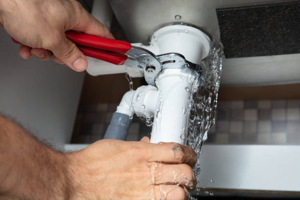 Best Professional water damage repair  in Browns Lake, WI