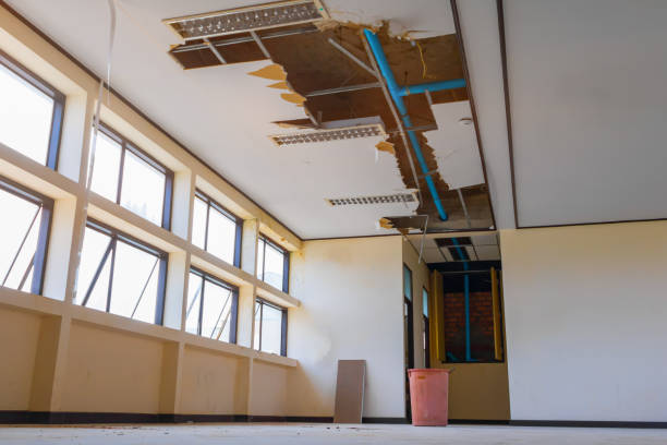 Best Sewage cleanup and water damage restoration  in Browns Lake, WI