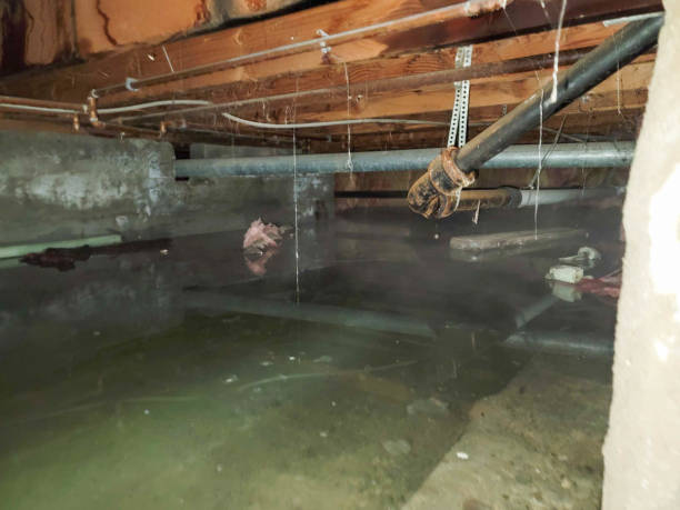 Best Flood damage cleanup  in Browns Lake, WI