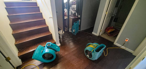 Best Water damage contractors near me  in Browns Lake, WI