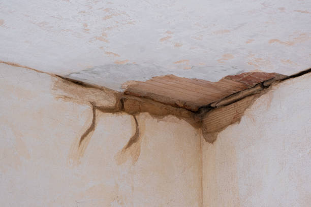 Best Residential water damage restoration  in Browns Lake, WI