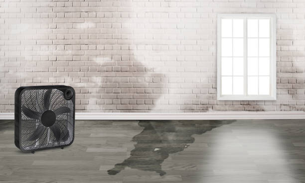 Best 24/7 water damage repair  in Browns Lake, WI