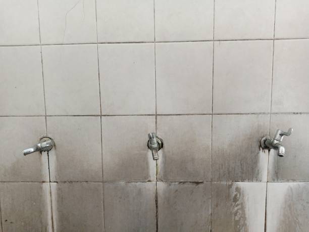 Best Fire Damage Restoration  in Browns Lake, WI