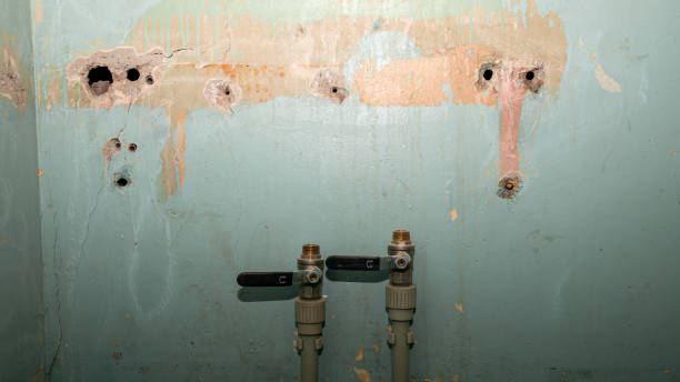 Best Water damage restoration near me  in Browns Lake, WI