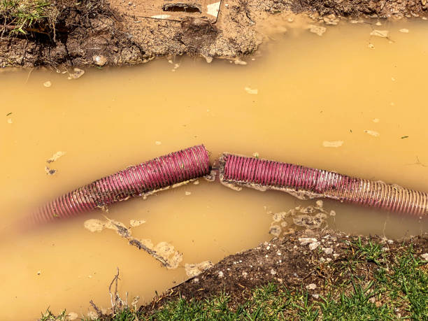 Best Carpet water damage restoration  in Browns Lake, WI